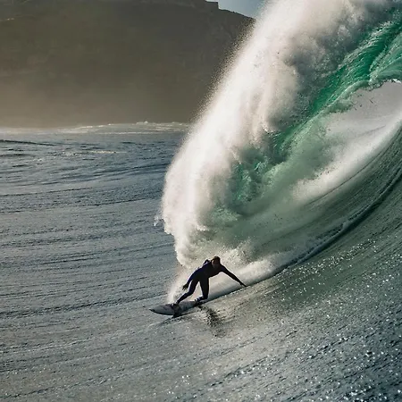 Sunflower - A 3 Min A Pe Da Nazaré